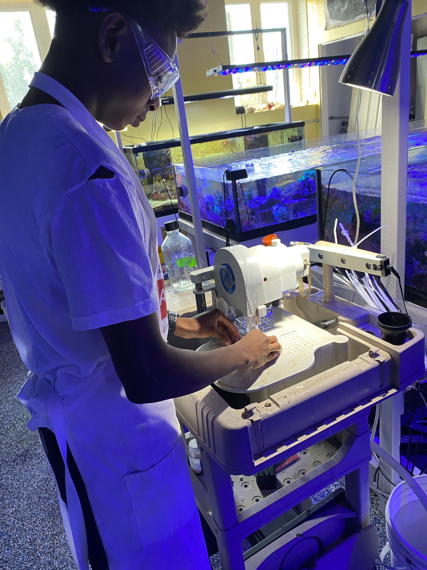 Person working with equipment near aquarium